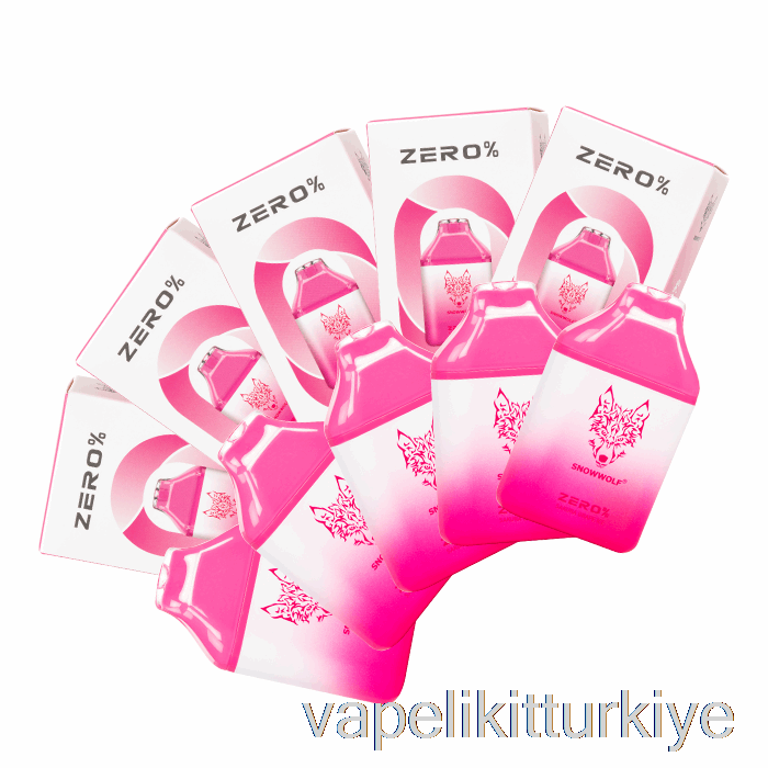 Vape Türkiye [10'lu Paket] Snowwolf Sıfır 5500 %0 Nikotinsiz Tek Kullanımlık